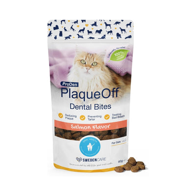 ProDen PlaqueOff Dental Bites for Cats Tartar & Bad Breath Remover 100% Natural Teeth Cleaner - Salmon